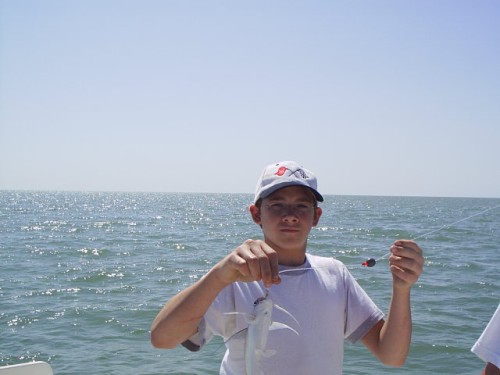S2010003.JPG
