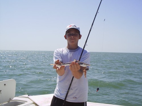 S2010004.JPG