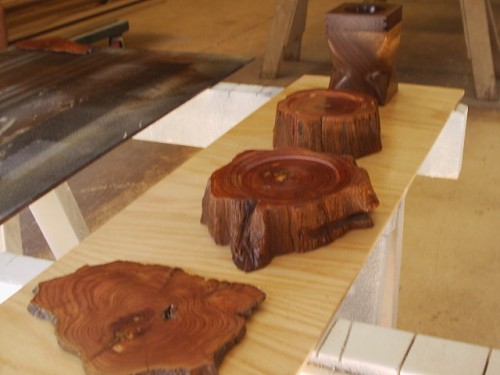 S2010006.JPG