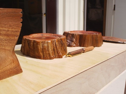 S2010015.JPG