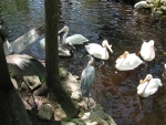 IMG_2610.JPG