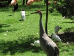 IMG_2613.JPG