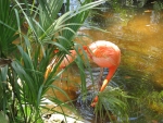 IMG_2627.JPG