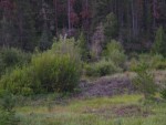 P1010030.JPG