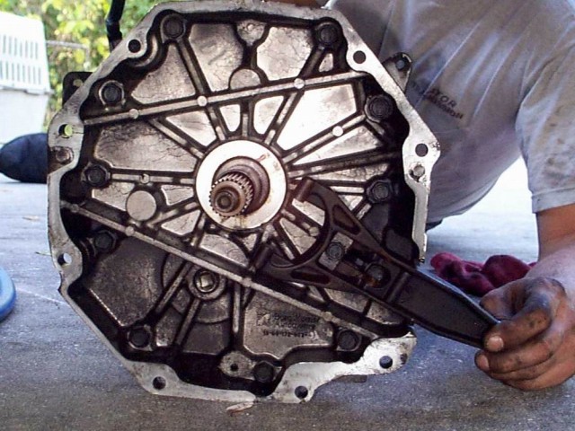 P002781.JPG