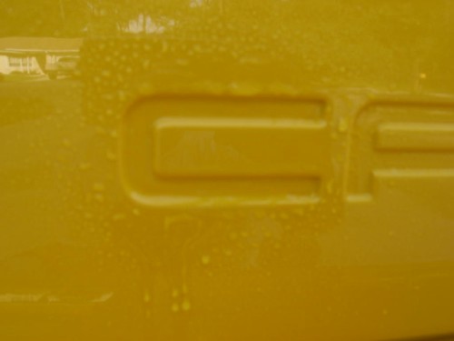 119-1991_IMG.JPG