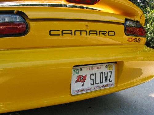 119-1995_IMG.JPG