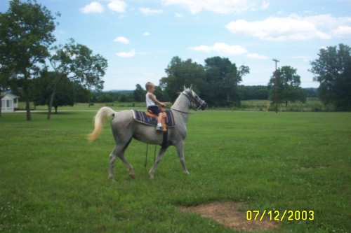 Copy of temp pictures 018.jpg