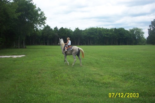 Rylan on Holly004.jpg