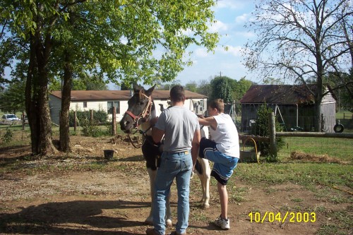 temp pictures 055.jpg