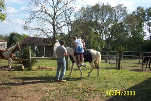 temp pictures 057.jpg