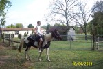 temp pictures 063.jpg