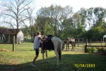 temp pictures 064.jpg