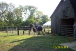 temp pictures 065.jpg