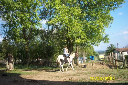 temp pictures 067.jpg
