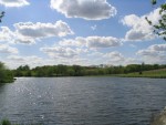 110_1021.JPG