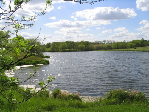 110_1024.JPG