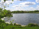 110_1024.JPG