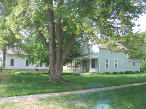 IMG0009.JPG