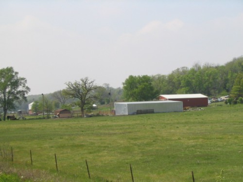 IMG0013.JPG