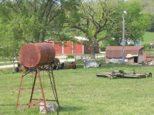 IMG0015.JPG