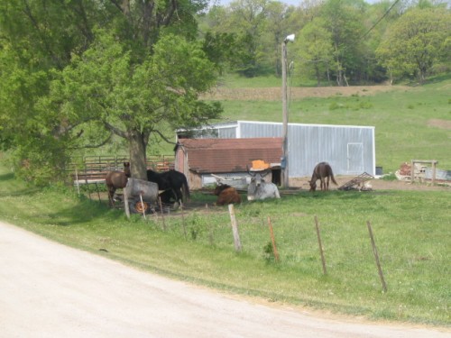 IMG0018.JPG