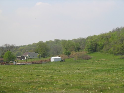 IMG0021.JPG