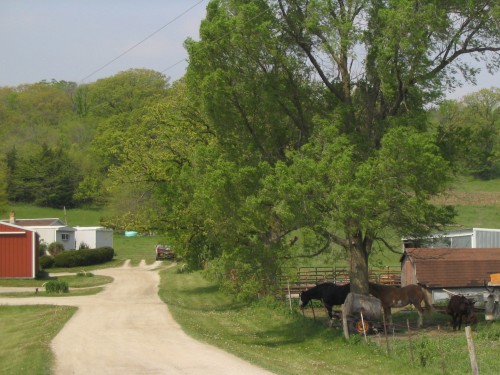 IMG0027.JPG