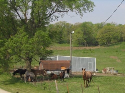 IMG0028.JPG