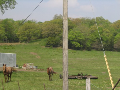 IMG0029.JPG