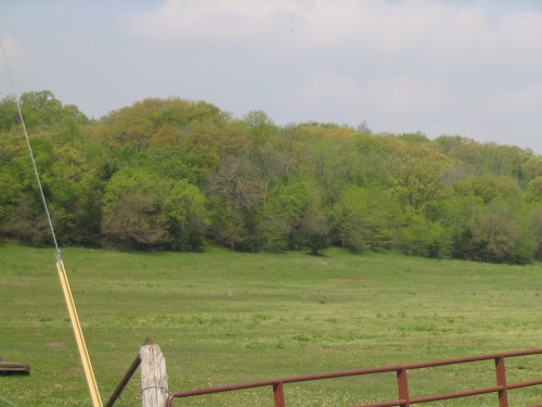 IMG0030.JPG