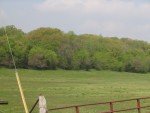 IMG0030.JPG