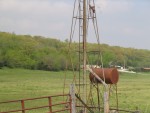 IMG0031.JPG