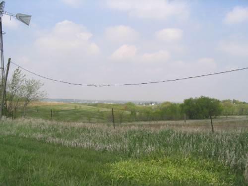 IMG0033.JPG