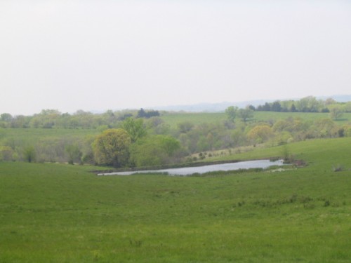 IMG0035.JPG