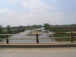 IMG0039.JPG
