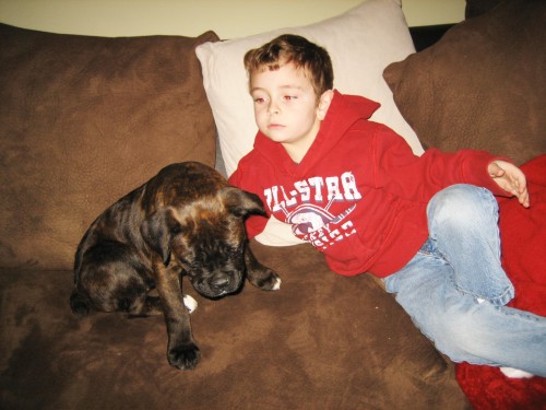 FAREN AND PATCHES.jpg