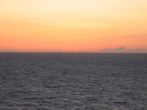 IMG_2625.jpg