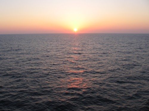 IMG_2650.jpg