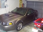 mustang01