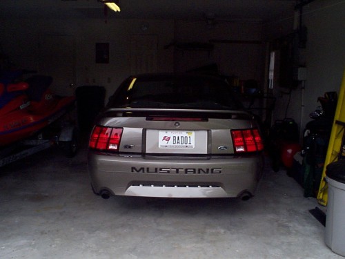 Yes, I tried the mustang thing too