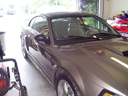 mustang08
