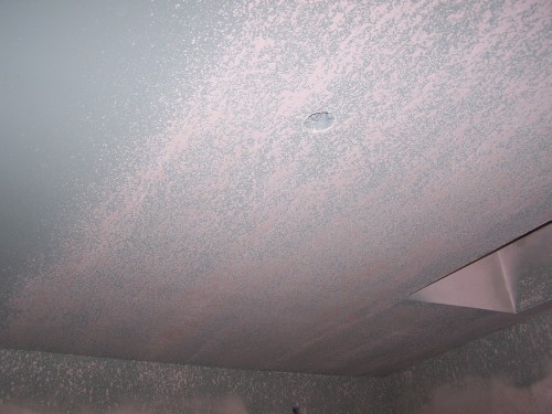 100_2151.JPG
