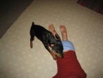 IMG_0537.JPG