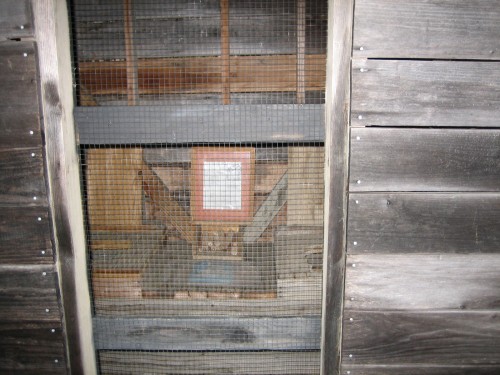 OUTHOUSE WITH CORNCOBS.JPG