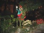 IMG_4418.JPG