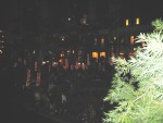 IMG_4421.JPG