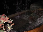 IMG_4424.JPG