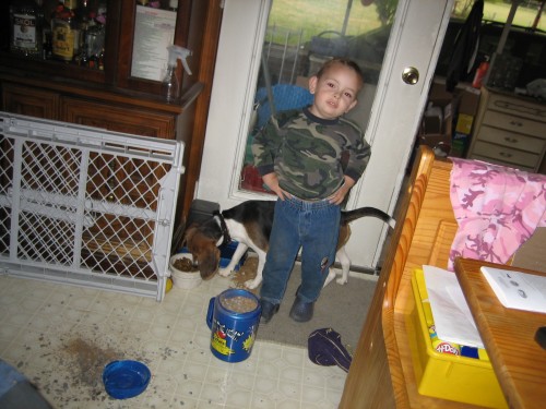 I BAKED NANA A CAKE AND DROPPED IT :(