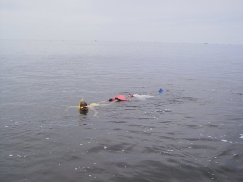 S2010001-3.JPG